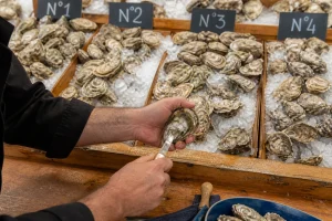 Étal d'huîtres fraîches de différents calibres sur glace avec ardoise des numéros
